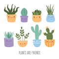 Big set of cute succulents cactus with smiling face, Mexican tropical home plants big collection